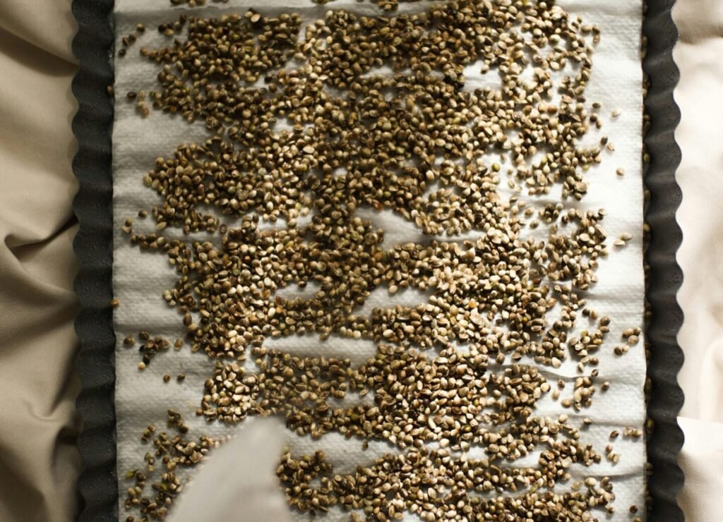 Automatic Feeders: Perfect for Busy Pet Parents on the Go